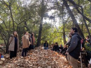 UC INAUGURA PRIMER CIRCUITO DE BAÑOS DE BOSQUE EN CHILE PARA COMBATIR EL ESTRÉS