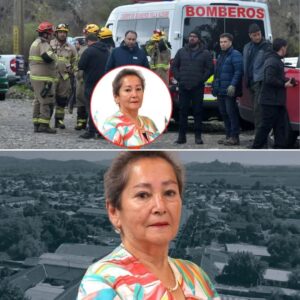 Concejala de Villa Alegre: detectan objeto del tamaño de un auto en el río Loncomilla.